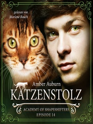 cover image of Katzenstolz, Episode 14--Fantasy-Serie
